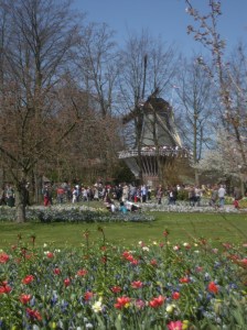 Keukenhof-1